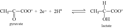 Reuction half-reaction for pyruvate to lactate, with structural formulas