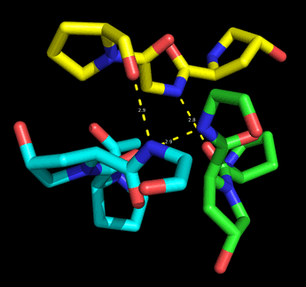 Vieiw of a fragment of the collagen triple helix along the superhelical axis