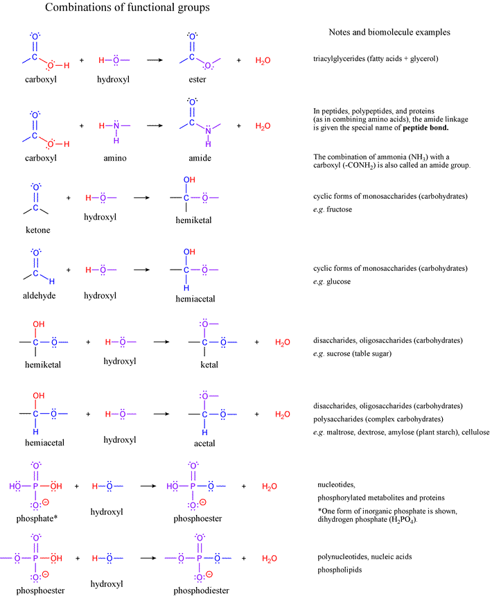 What Are The Functional Properties Of Phosphate