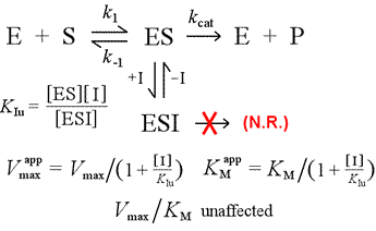 Model for uncompetitive inhibition