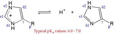 Ionzation (acid dissociation) of the protoanted His imidazole group