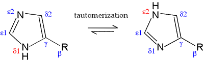 Tautomeric structures of the imidazole ring of histidine