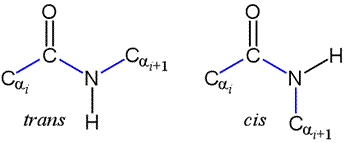 Structural diagram of the trans and cis forms of the peptide bond